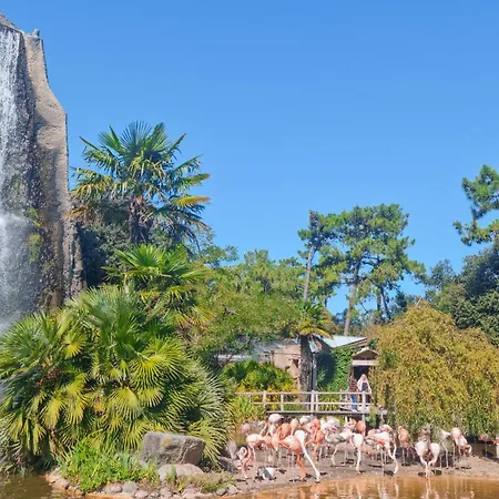 Nyaraló Charmante Maison Proche *